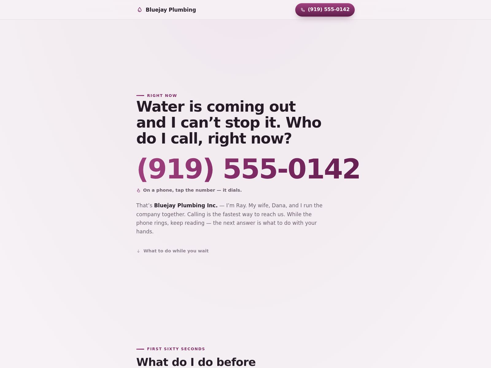 Home page for a plumbing company: emergency-first layout where the headline poses the question and an oversized phone number answers it.